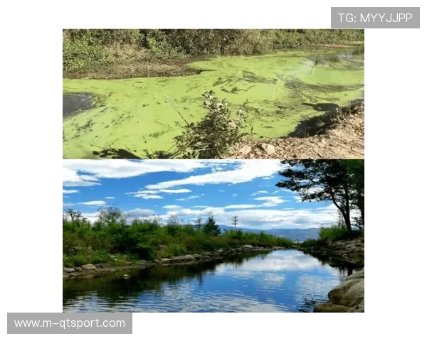 平台方完善合作伙伴准入与退出机制，优化生态治理